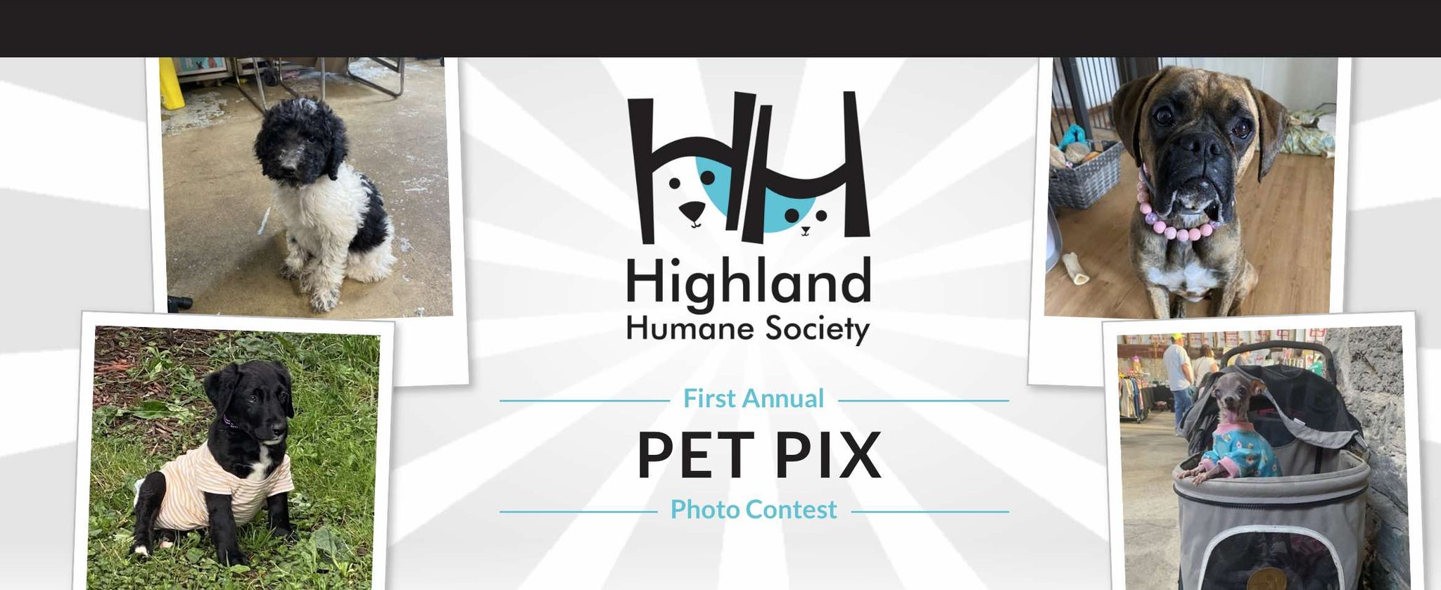 1st Annual Pet Pix Photo Contest