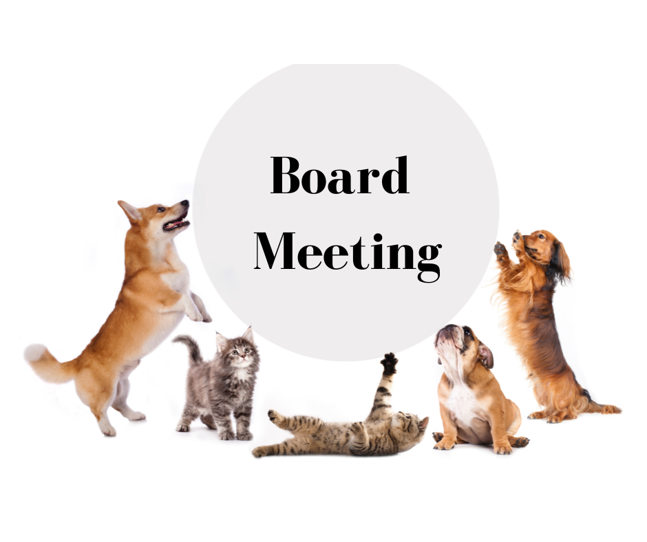 board meeting