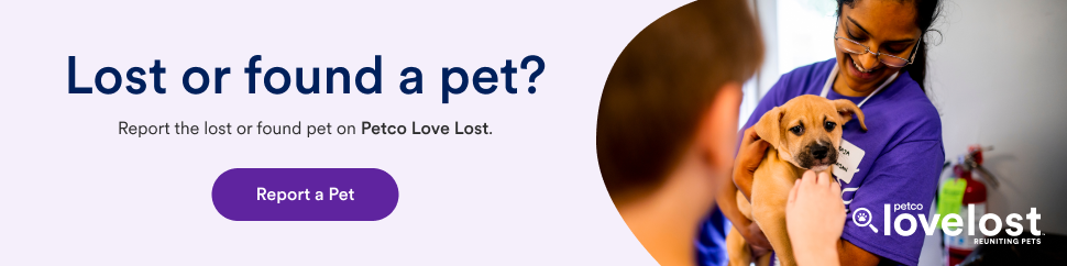 Petco Love Lost banner